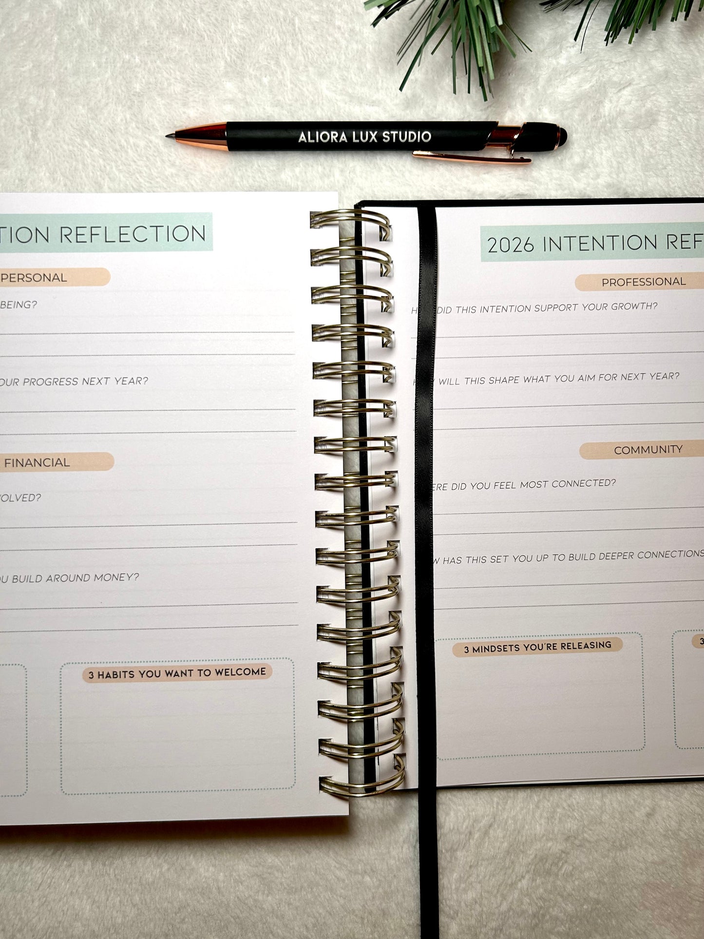 Limited Edition 2026 Noir Planner